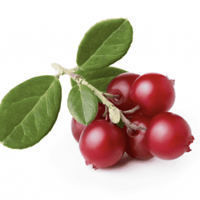 Cowberries - Lingonberries Frozen - 1kg