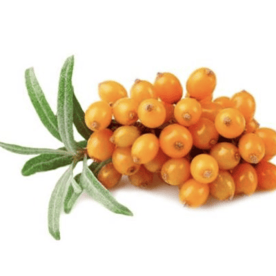 Sea Buckthorn Berries Frozen - 1kg