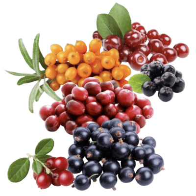 European Frozen Berries